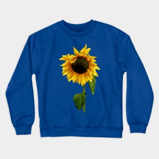 Sunflowers - Sunflower With Peakaboo Bangs Crewneck Sweatshirt